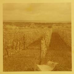 1952_53_orgeval_view
