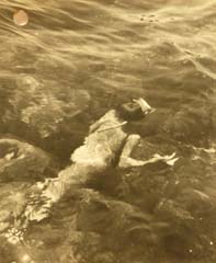 1956_acciaroli_ggi
