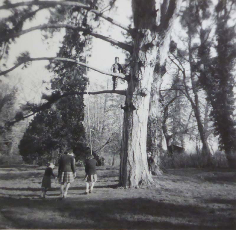 1953_orgeval_tree_erik_gigi_therese