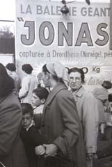 1953_baleinejonas_jean_erik_peter