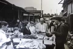 1955_puces_09